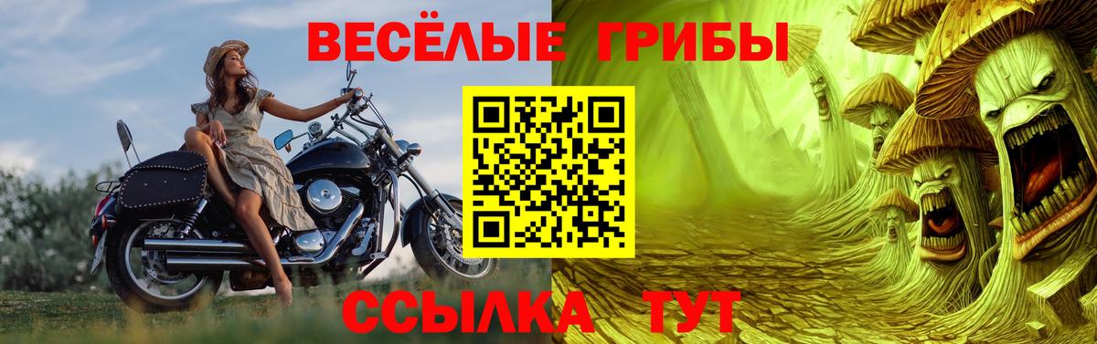 Псилоцибиновые грибы Cubensis  Вход с VPN  Гагарин 